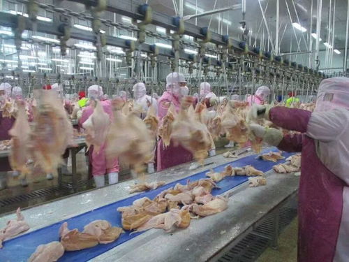 大齡工企業(yè) 湖北正大食品 湖州泰普森